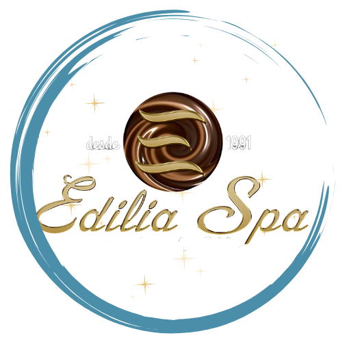 Logo de Edilia Spa